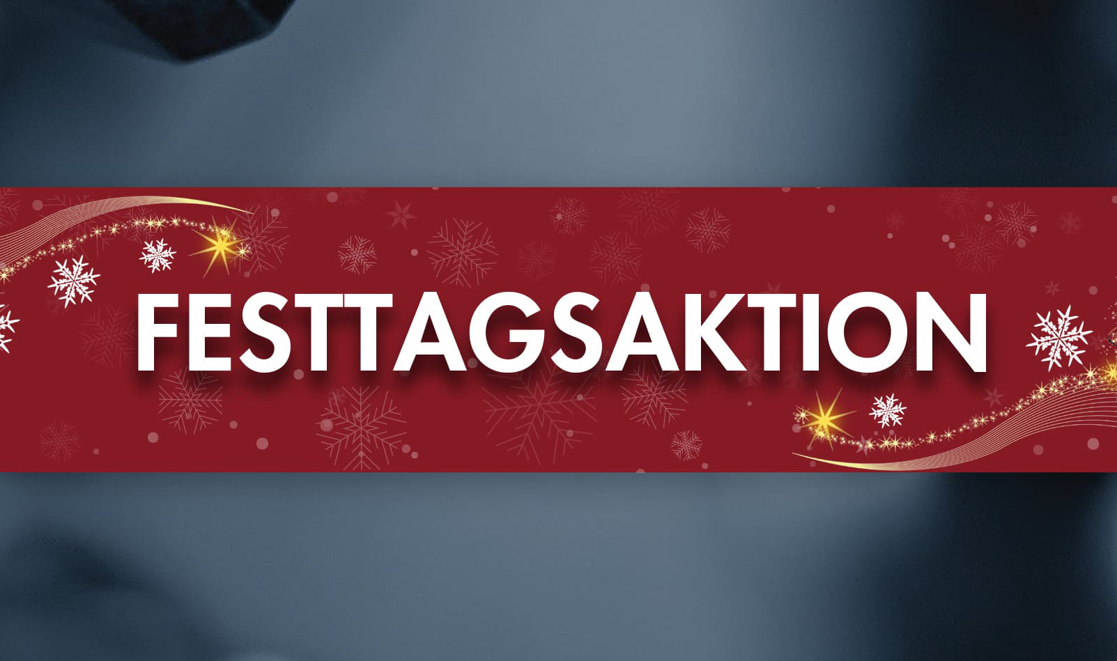 Festtagsaktion